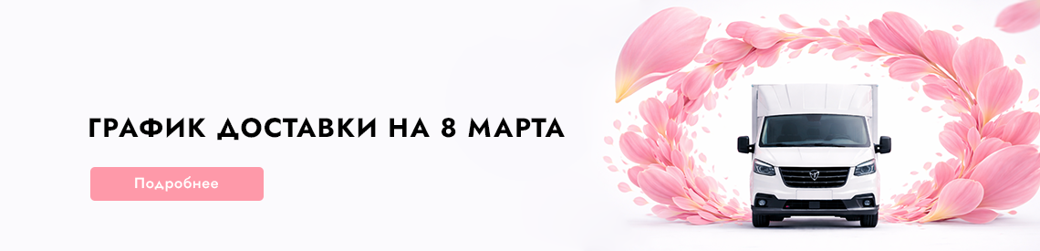 https://www.opticom-spb.ru/group/dostavka-na-8-marta