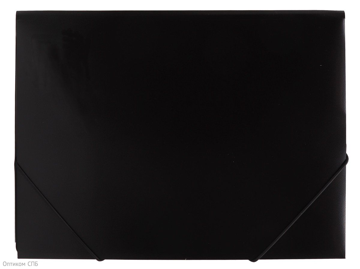 Папка-конверт на резинках Workmate предназначена для хранения и транспортировки документов формата А4. Надежно защищает бумаги от пыли, влаги, заломов и других механических повреждений. Крышка конверта надежно удерживается с помощью двух эластичных резинок, закрепленных по углам. Изготовлена из пластика толщиной 500 мкм. Вместимость до 300 листов стандартной плотности. Цвет черный.